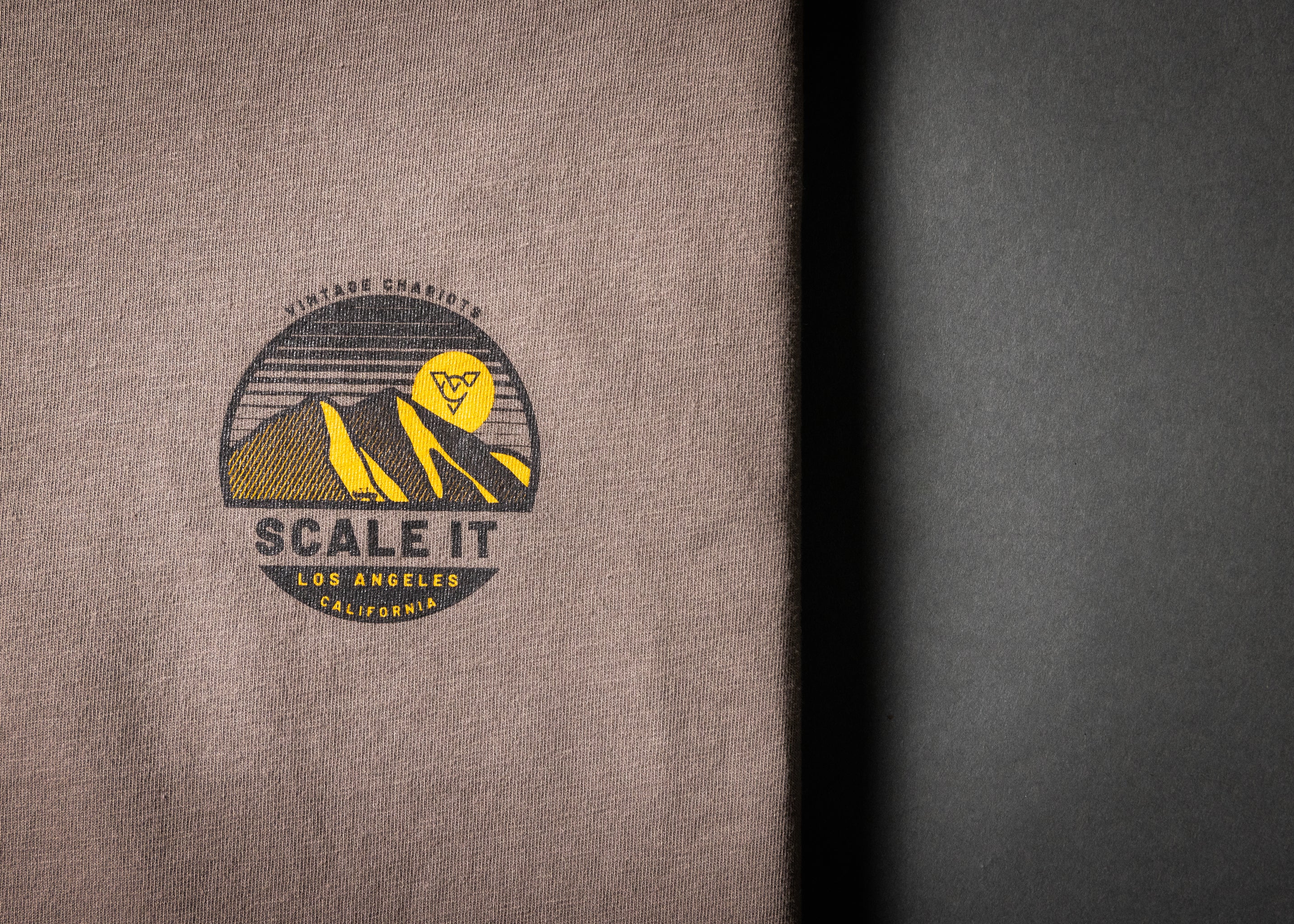 SCALE IT LONG SLEEVE TEE (Cinder)