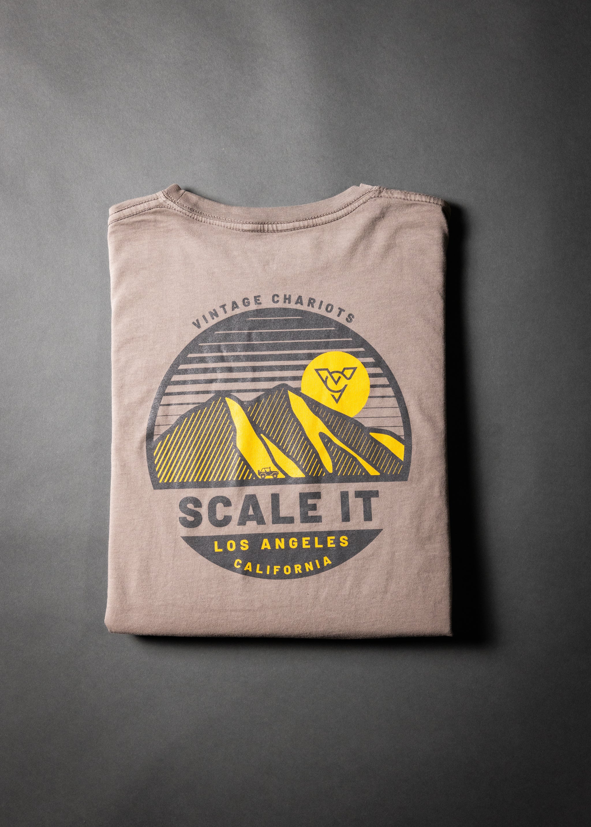 SCALE IT LONG SLEEVE TEE (Cinder)