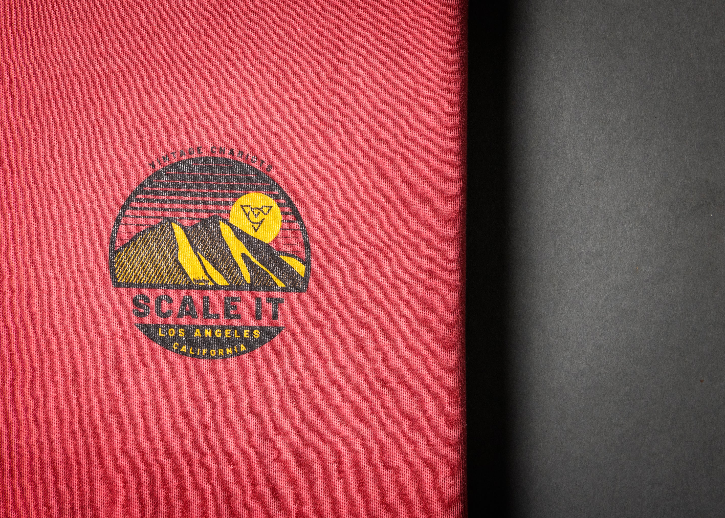 SCALE IT LONG SLEEVE TEE (Shiraz)