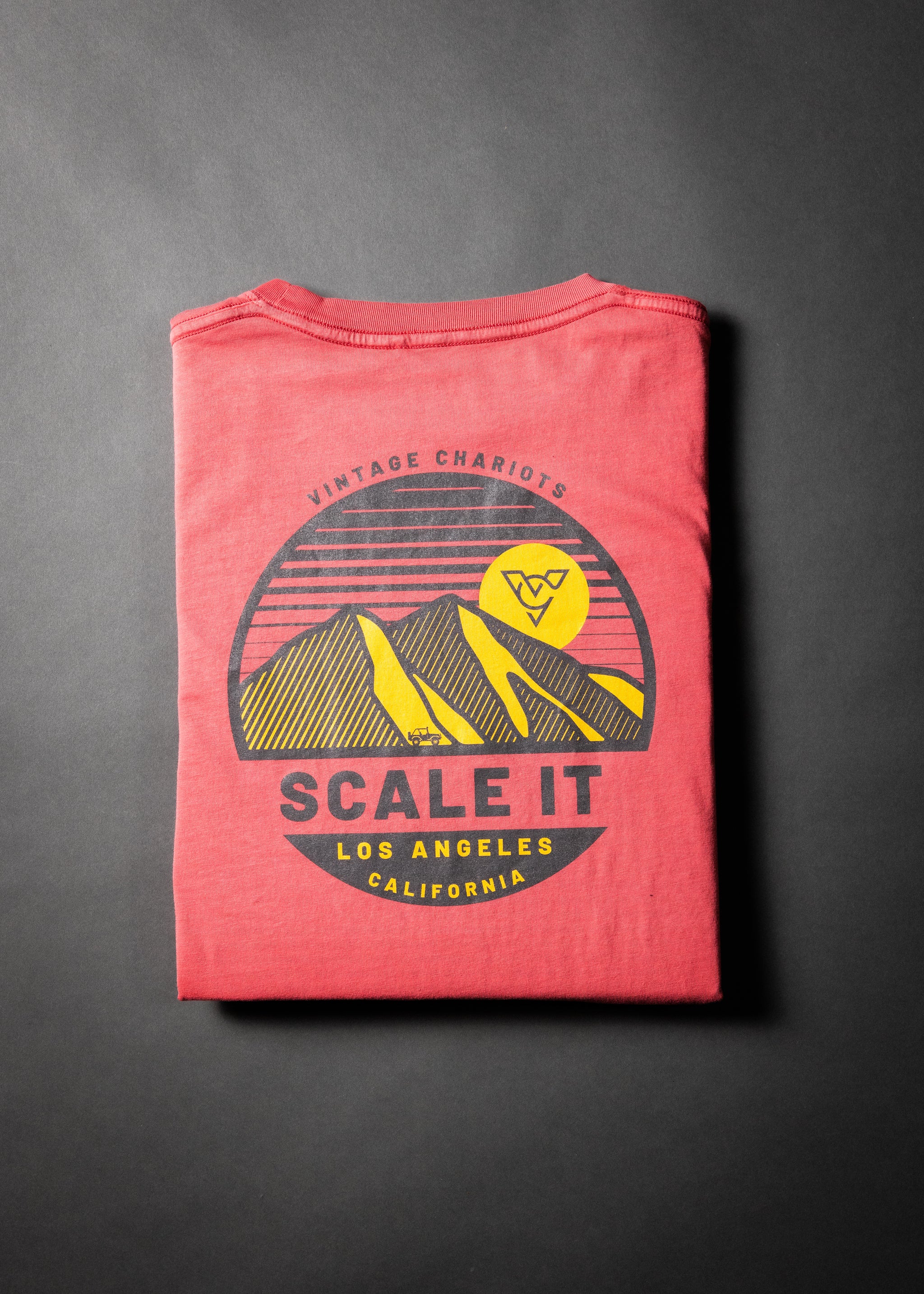 SCALE IT LONG SLEEVE TEE (Shiraz)