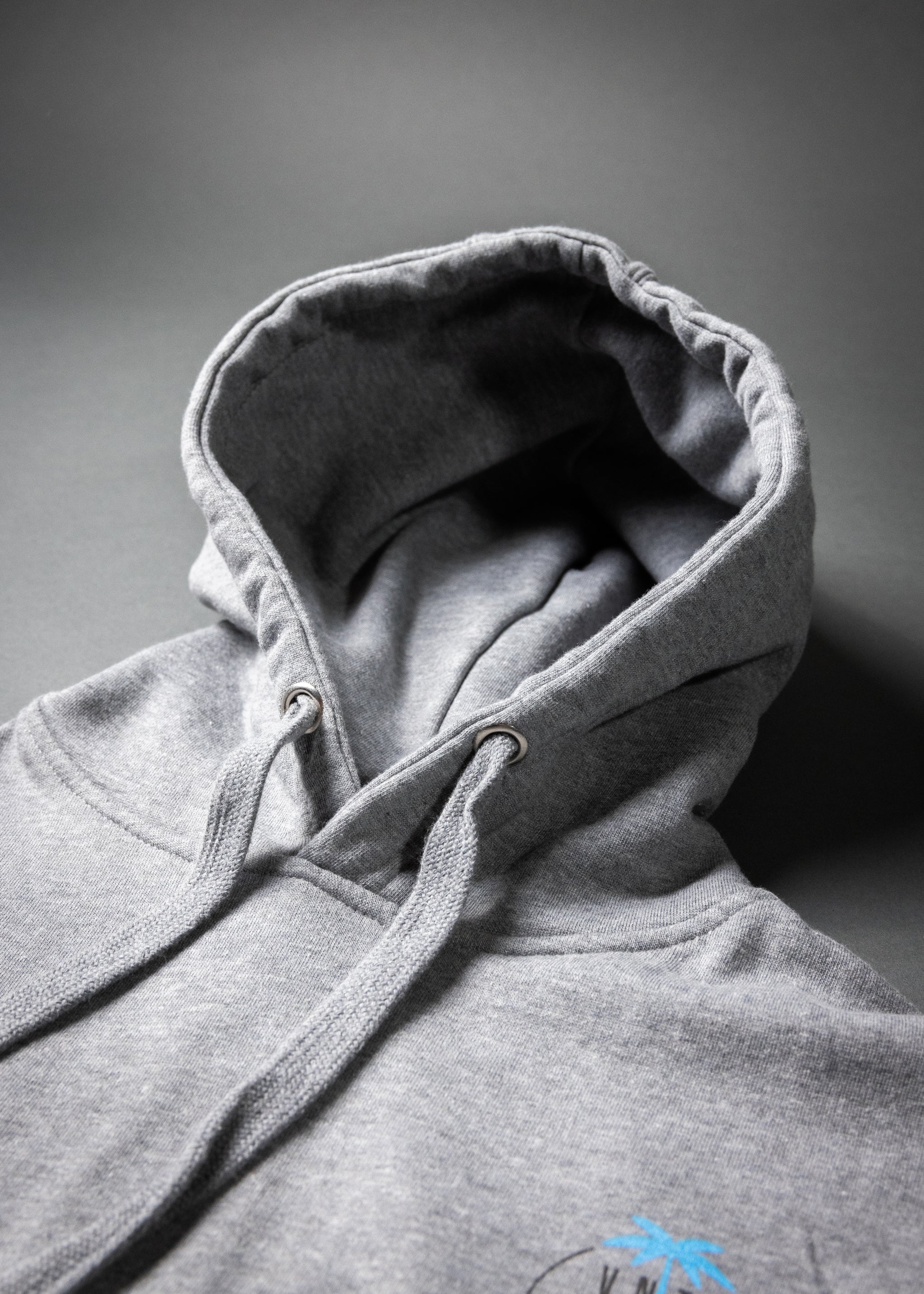 VC PALMS UNISEX PREMIUM PULLOVER HOODIE (Carbon Grey)