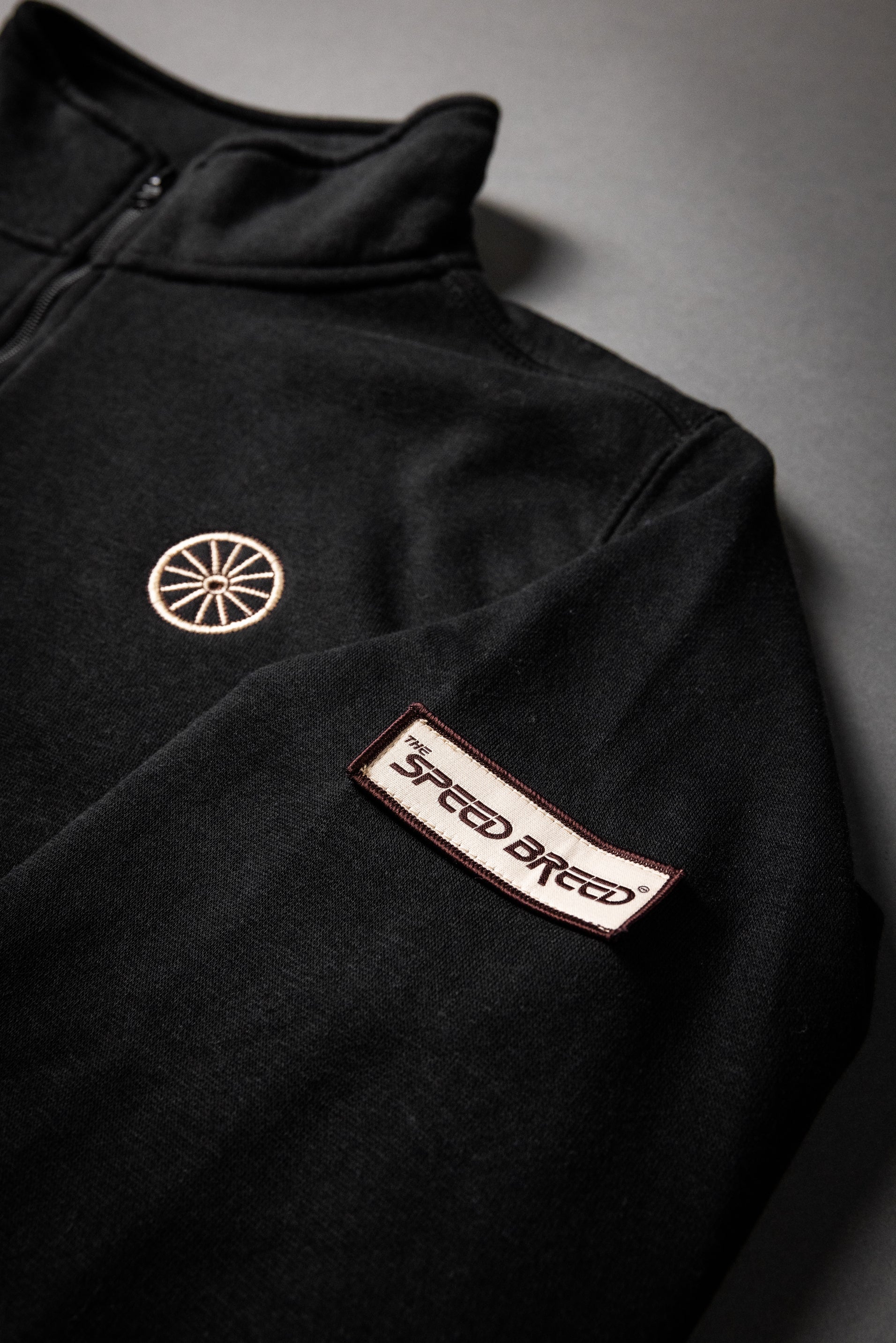 CHARIOTS EMBROIDERED QUARTER ZIP FLEECE PULLOVER (Black)