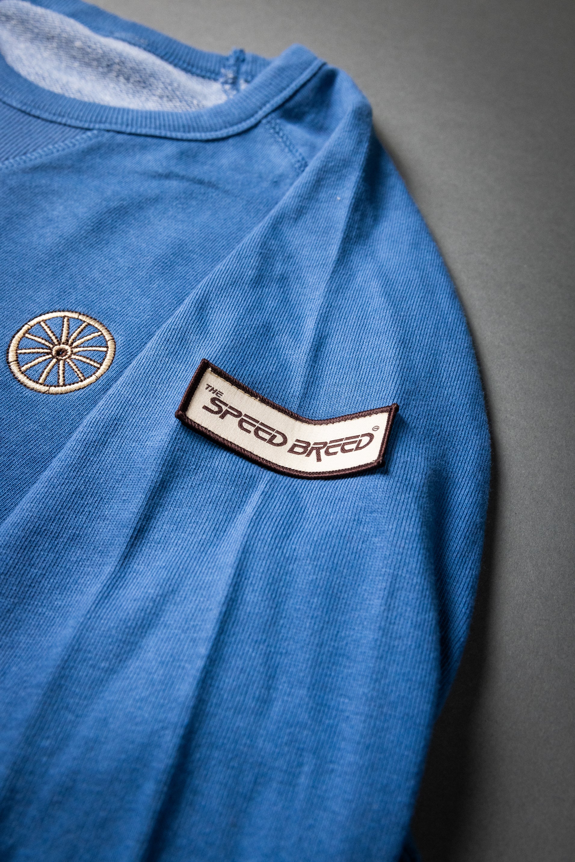 CHARIOTS EMBROIDERED UNISEX FRENCH TERRY CREW NECK SWEATER (Slate Blue)