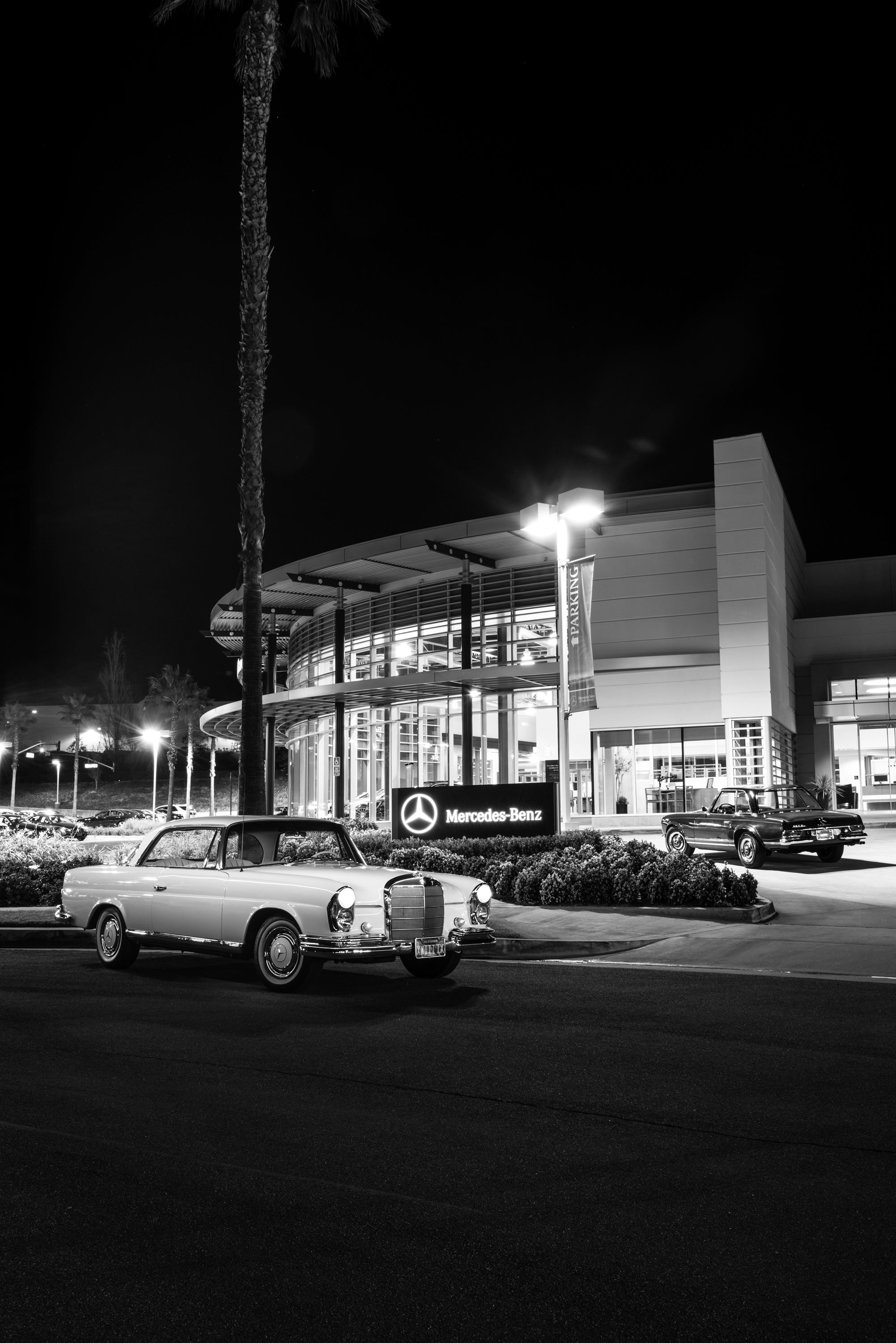 1965/1967 Mercedes-Benz Coupes