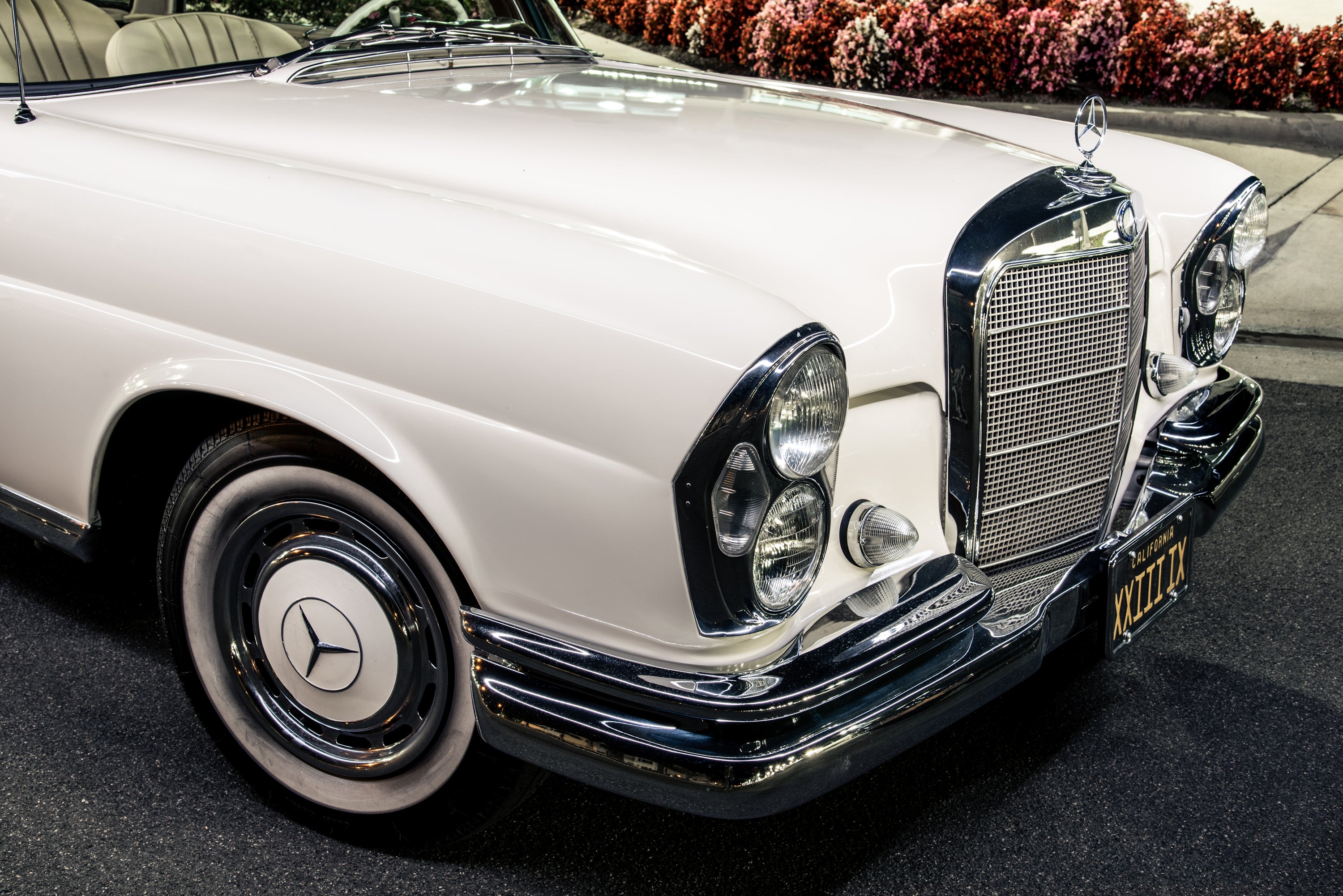 1965/1967 Mercedes-Benz Coupes
