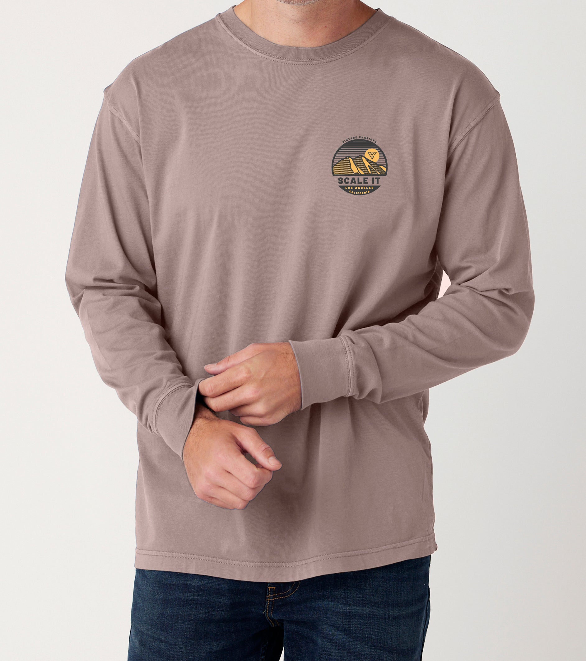 SCALE IT LONG SLEEVE TEE (Cinder)