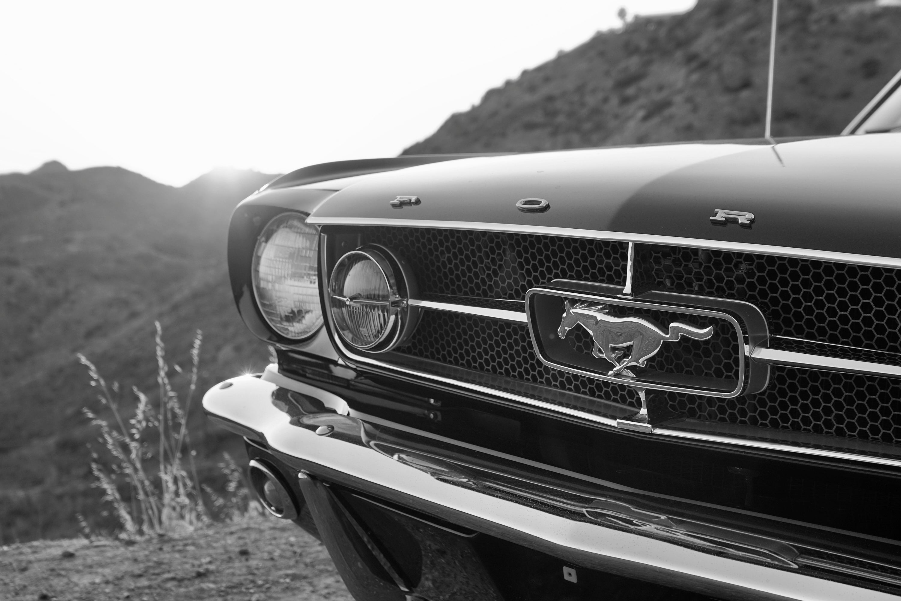 1965 Ford Mustang GT K-Code Fastback FINE ART PRINT