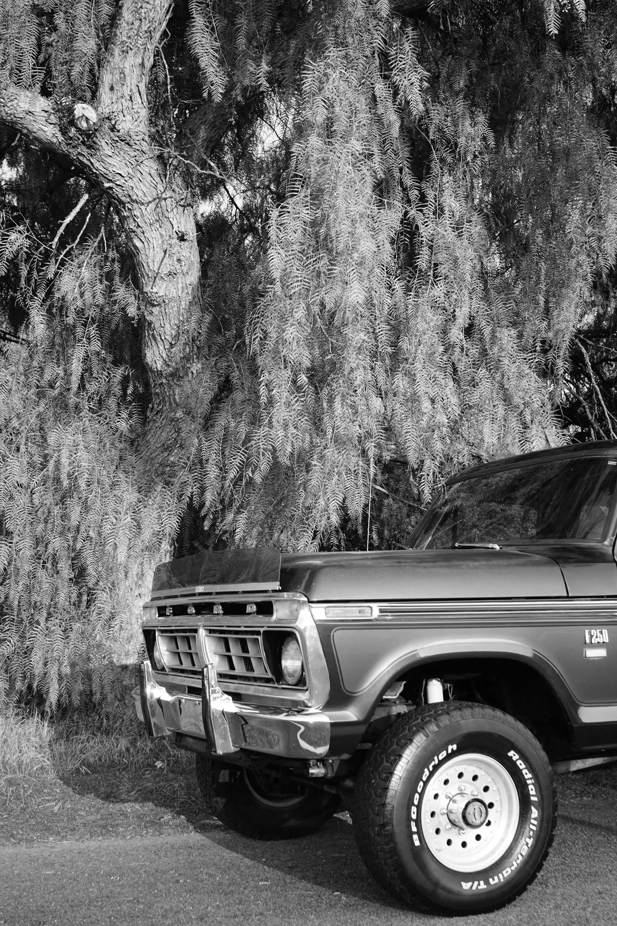 1976 Ford F-250 Crew Cab FINE ART PRINT