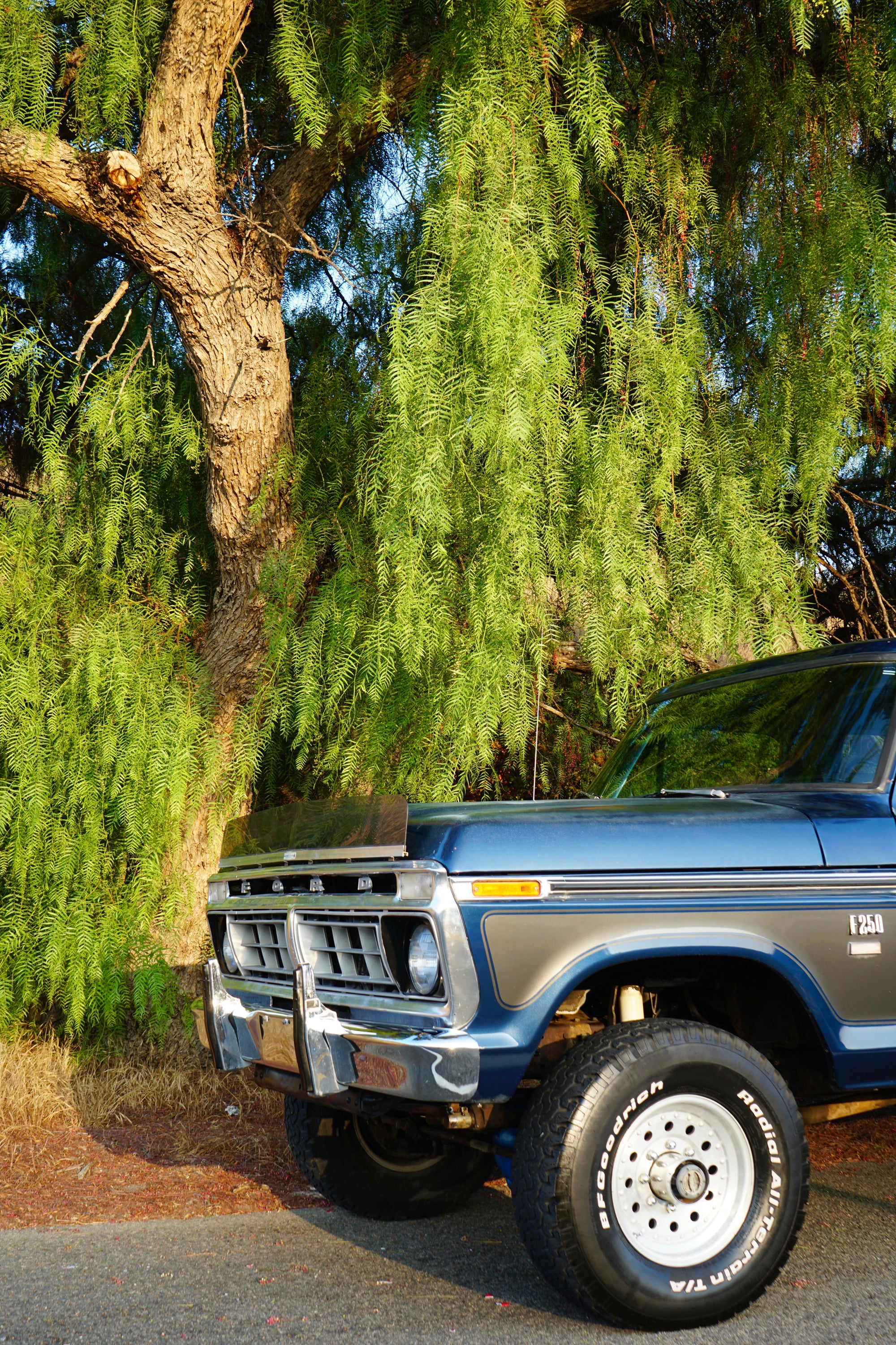 1976 Ford F-250 Crew Cab FINE ART PRINT