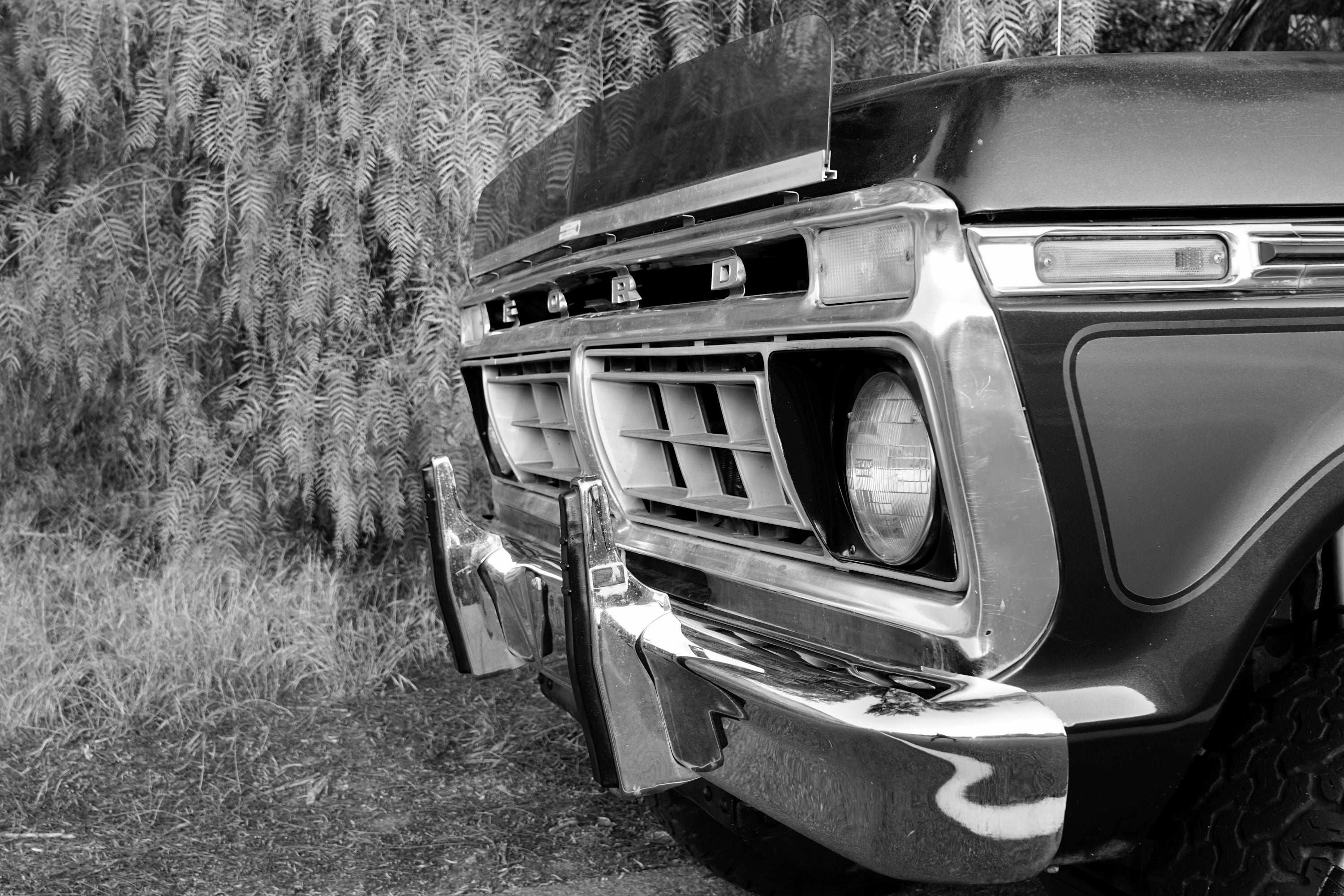 1976 Ford F-250 Crew Cab FINE ART PRINT