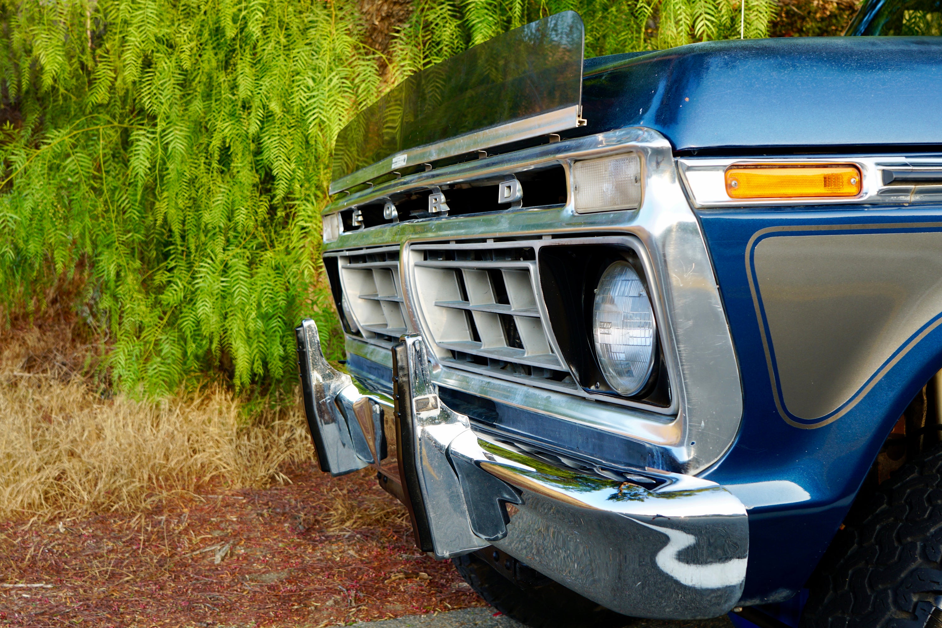 1976 Ford F-250 Crew Cab FINE ART PRINT