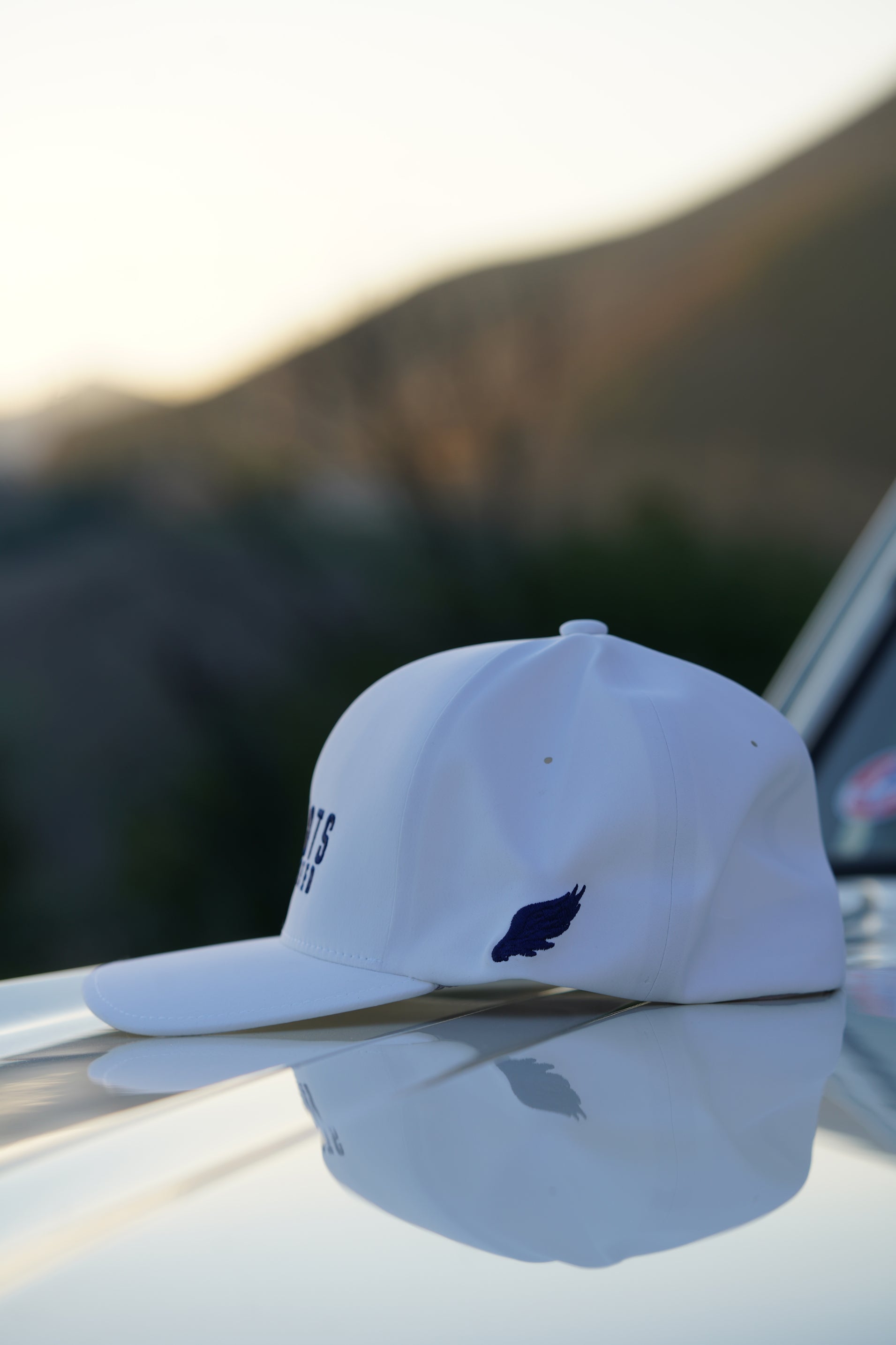 APEX FLEXFIT DELTA HAT (Alpine White/Navy)