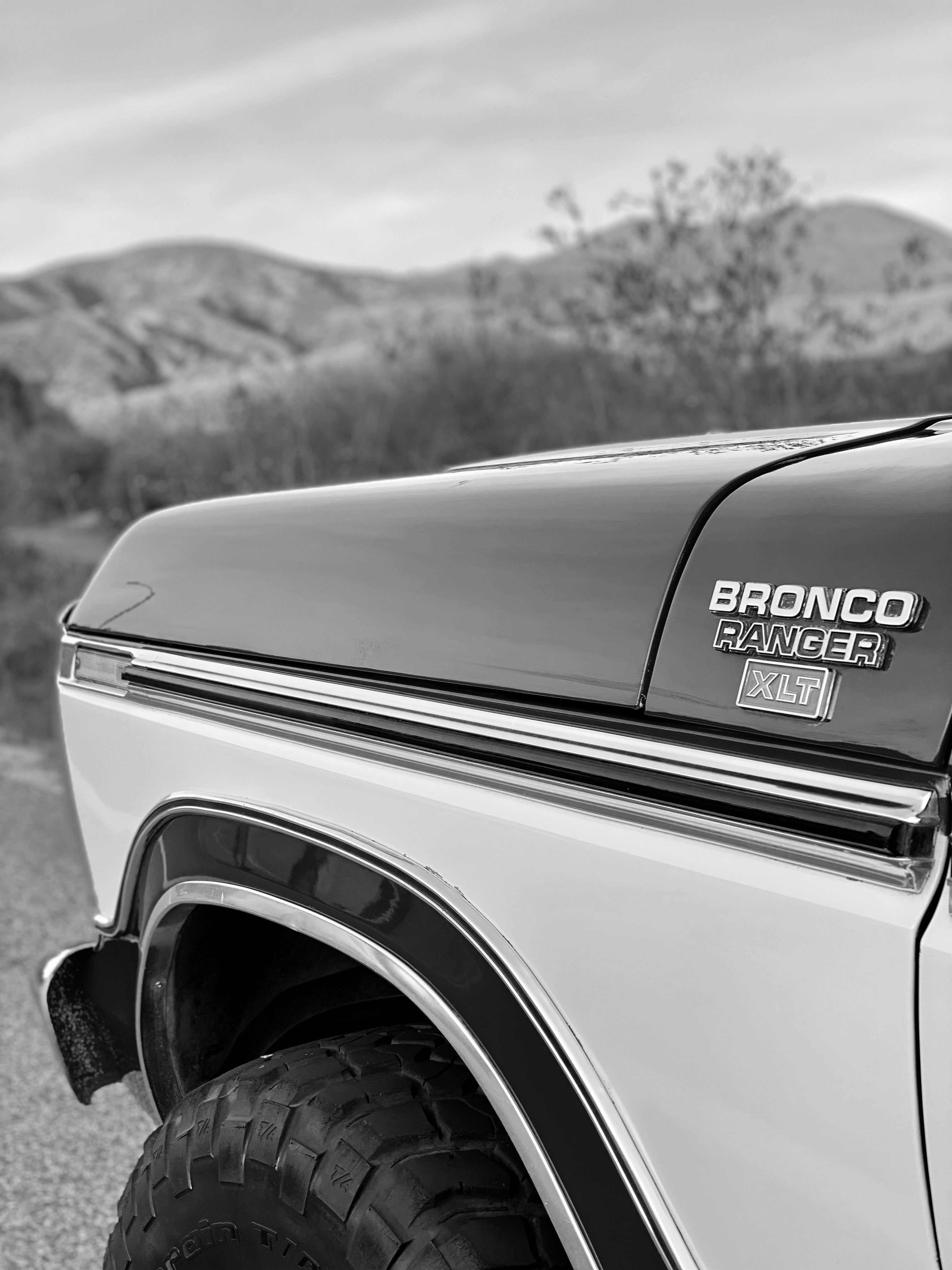1979 Ford Bronco FINE ART PRINT
