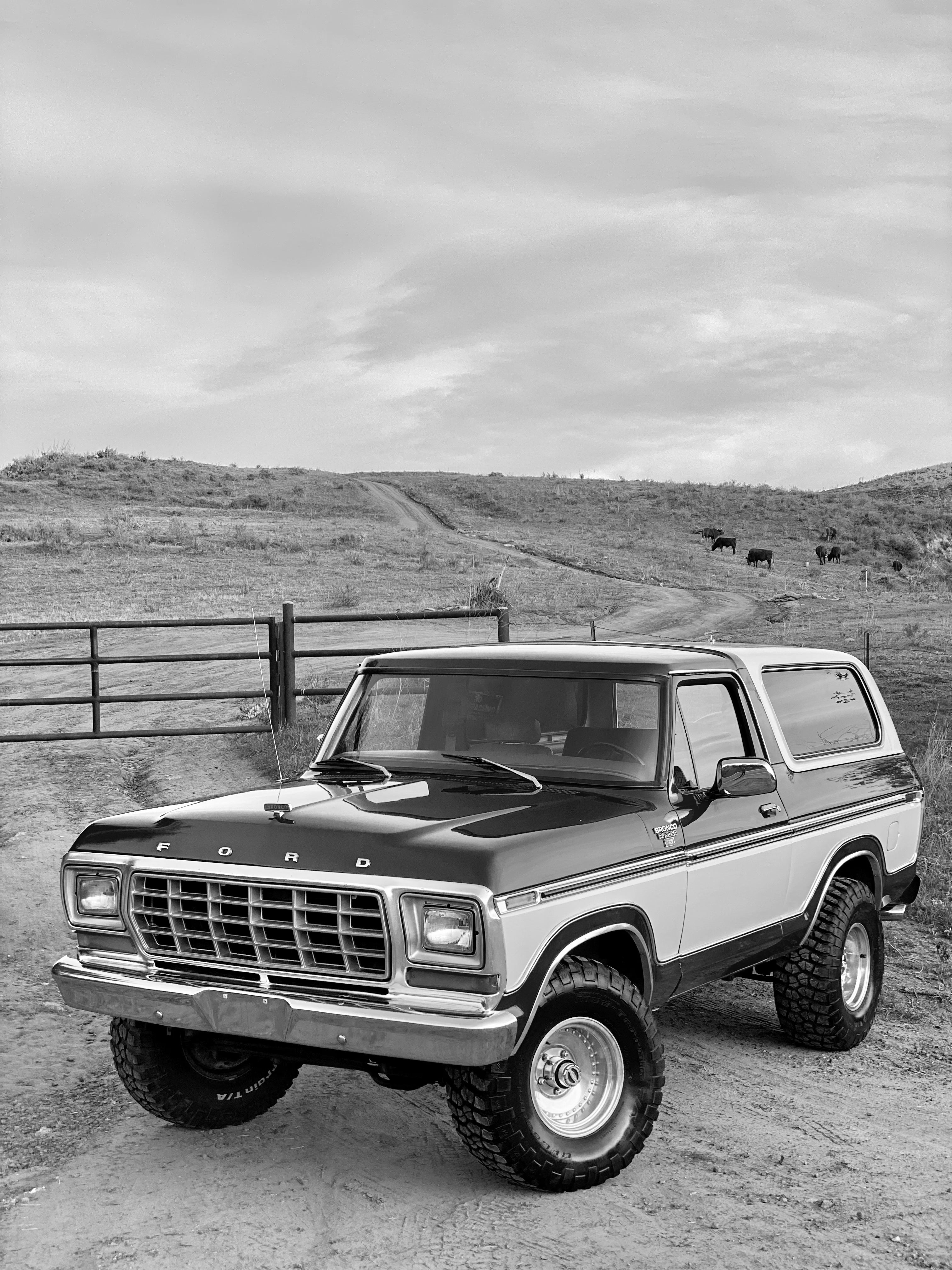 1979 Ford Bronco FINE ART PRINT
