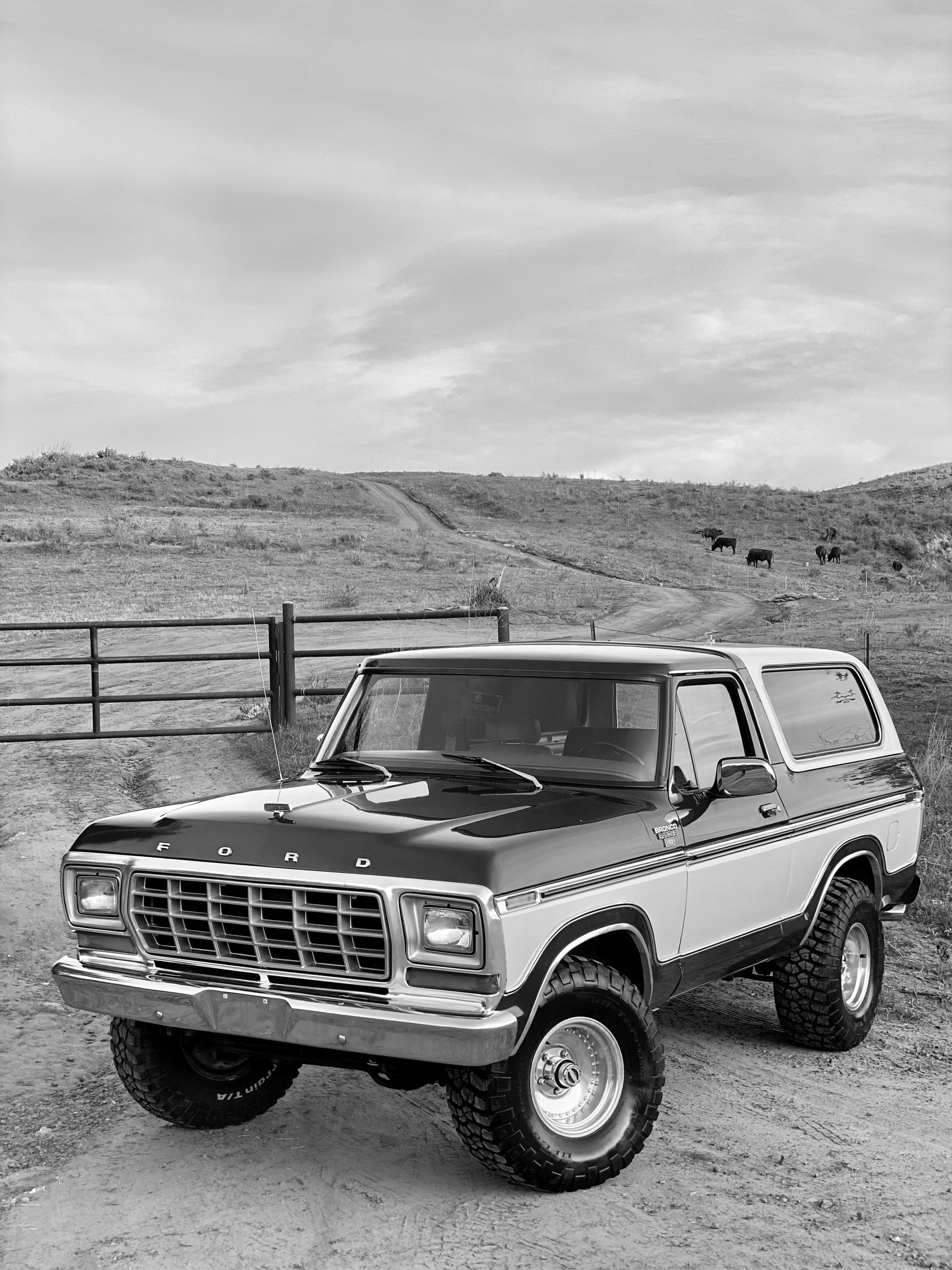 Ford Bronco Women's Cropped Boyfriend T-Shirt