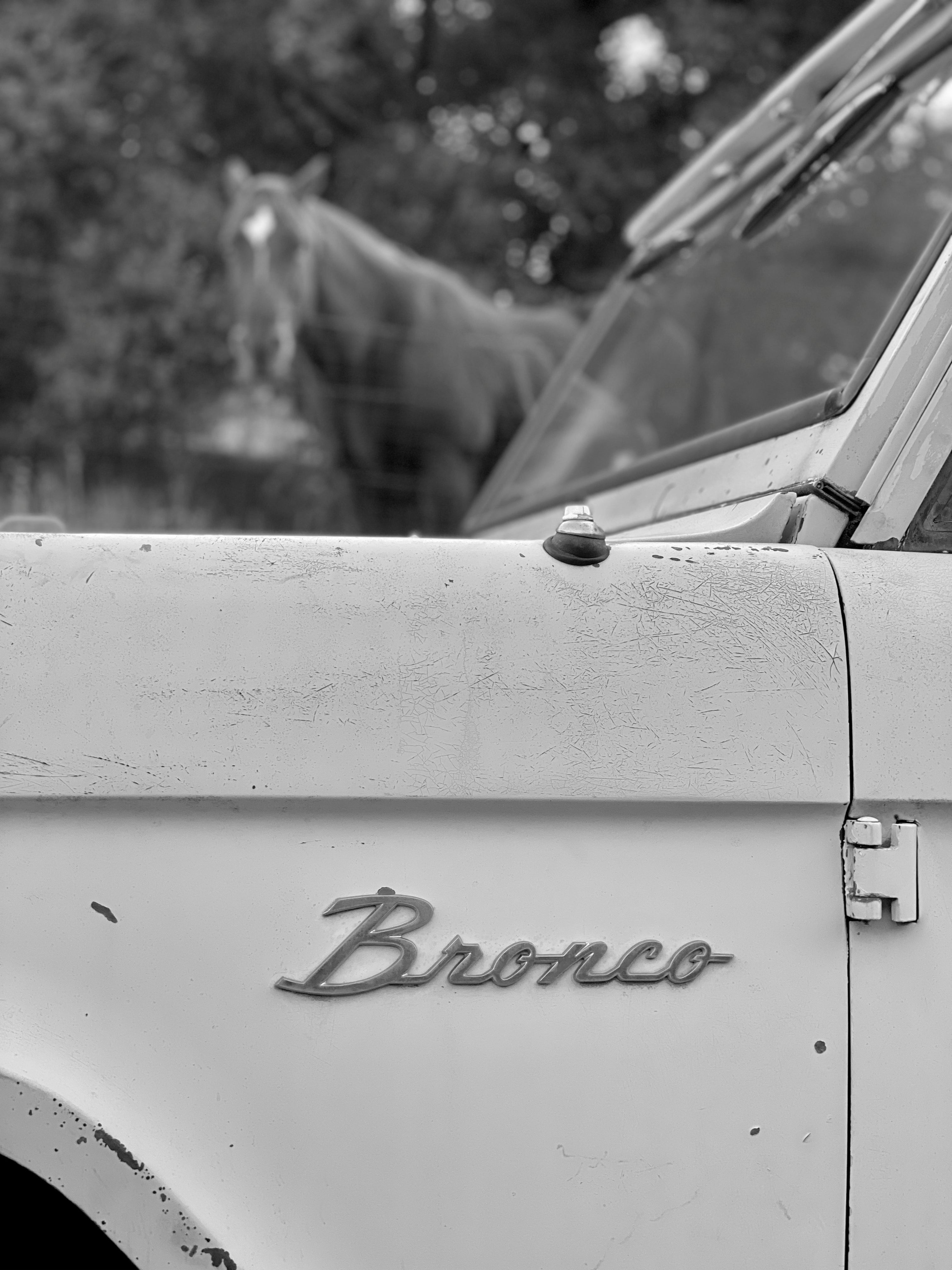 1966 Ford Bronco FINE ART PRINT