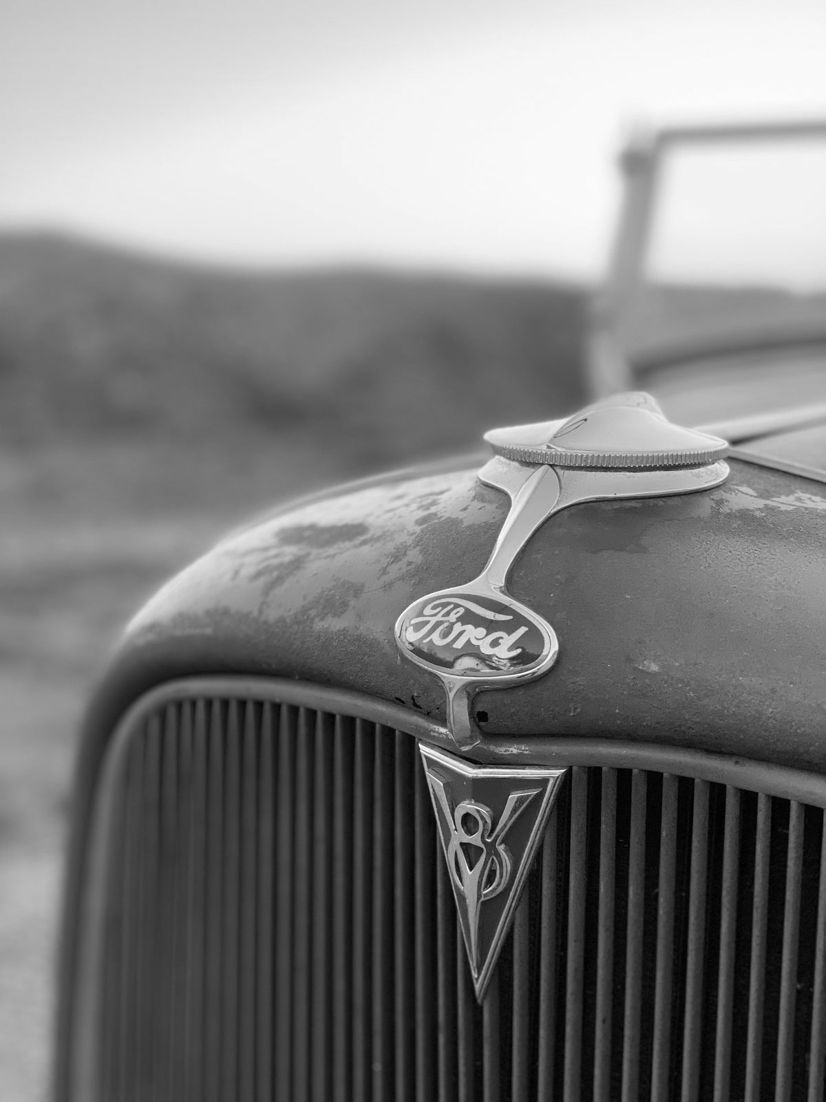 1932 Ford Roadster Grille Emblems FINE ART PRINT
