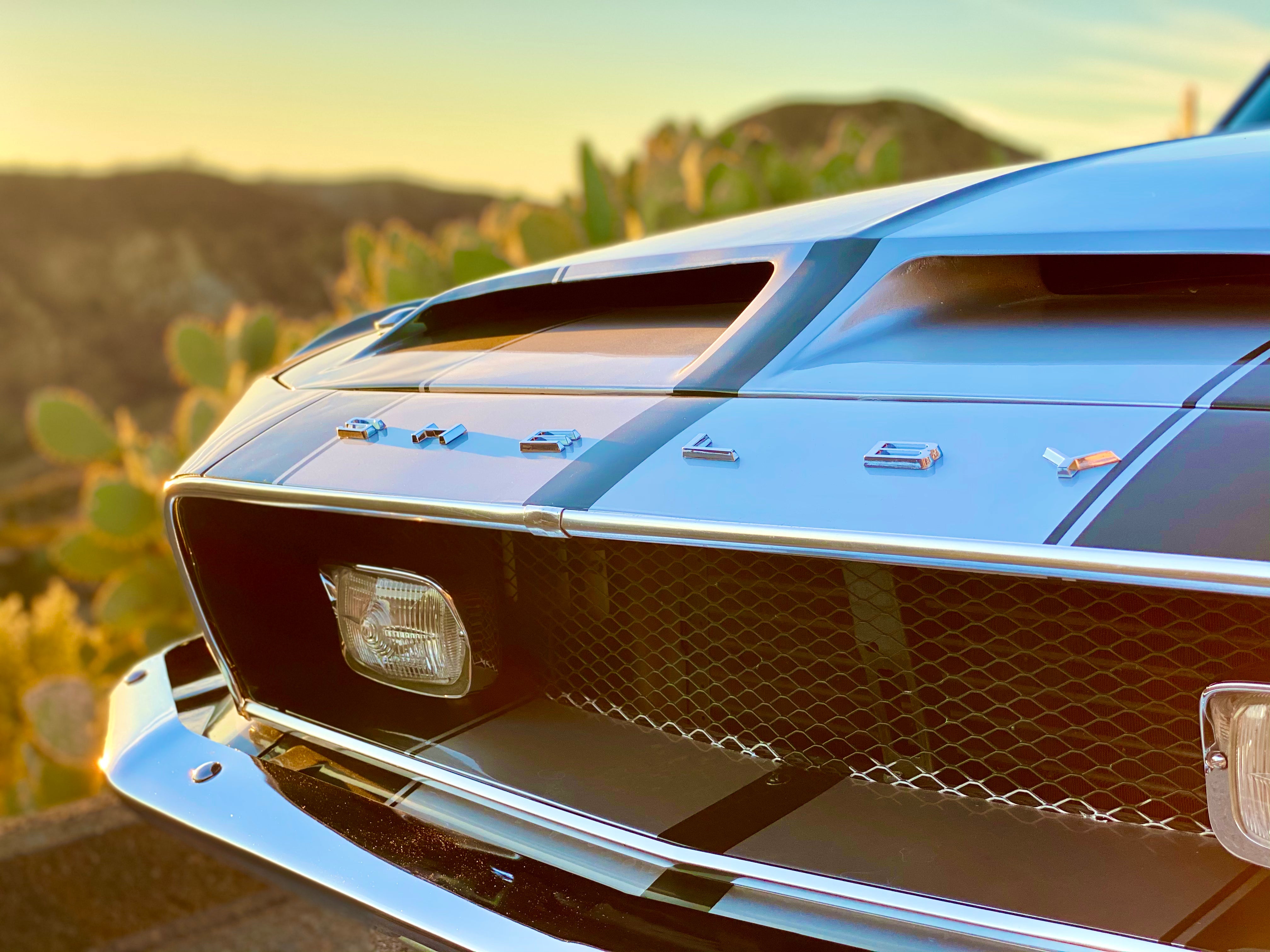 1968 Shelby Mustang GT350H FINE ART PRINT